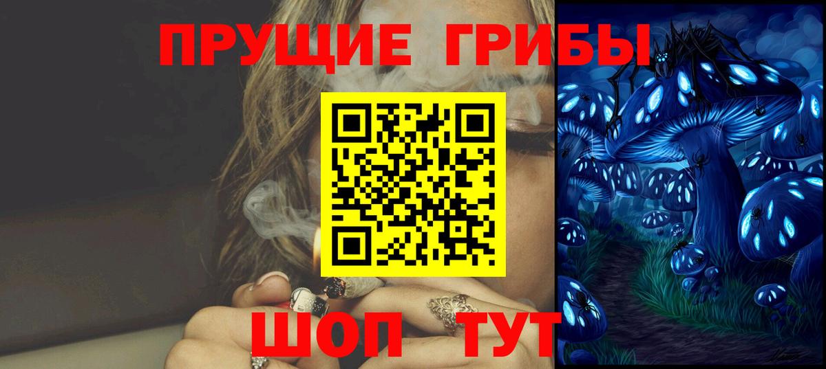 Псилоцибиновые грибы Psilocybe Йошкар-Ола